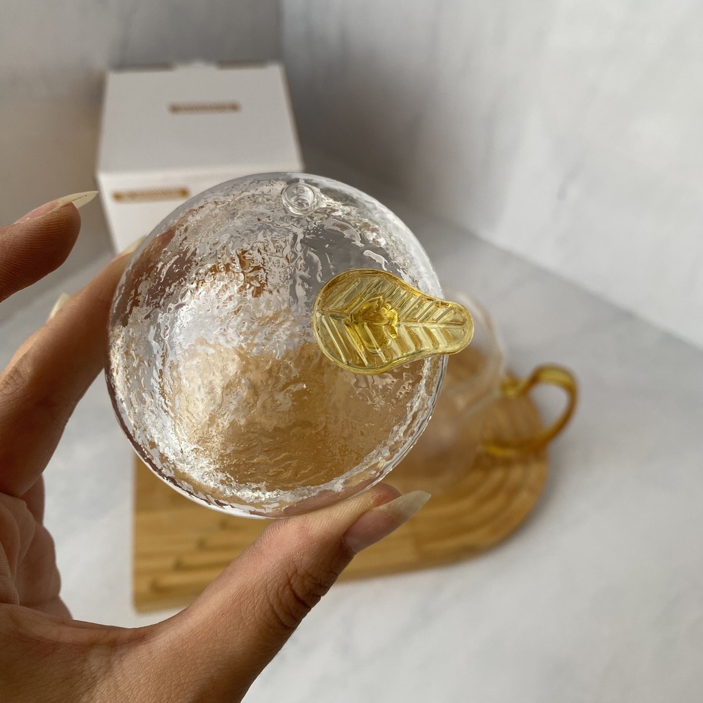 Théiere en verre 500 ml
