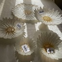 Fleur Bol Pearl White