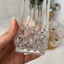 Longchamp Verre Forme Haute 36Cl