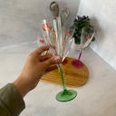 fusion 6 couleurs flutes 17cl 