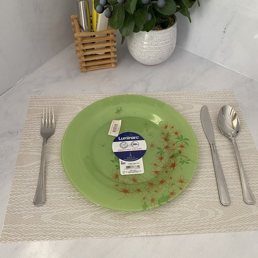 [P3051] Ipomea Vert Pale Assiette Plate 25 Cm